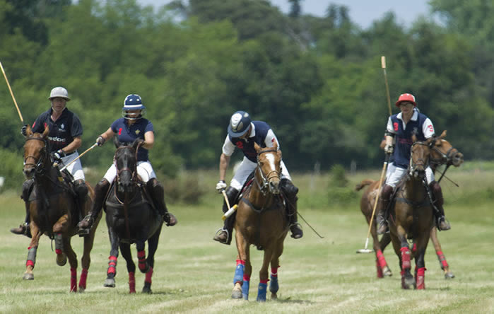 Polo in France