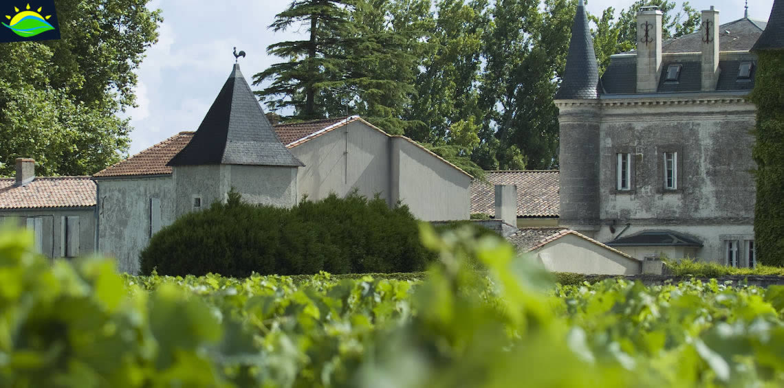 Wine Médoc